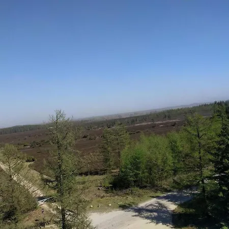 6 Person In 펜션 *