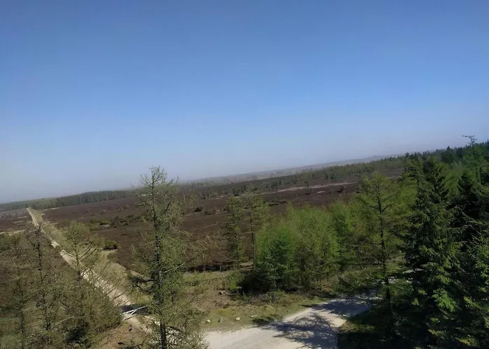 6 Person In 펜션 *